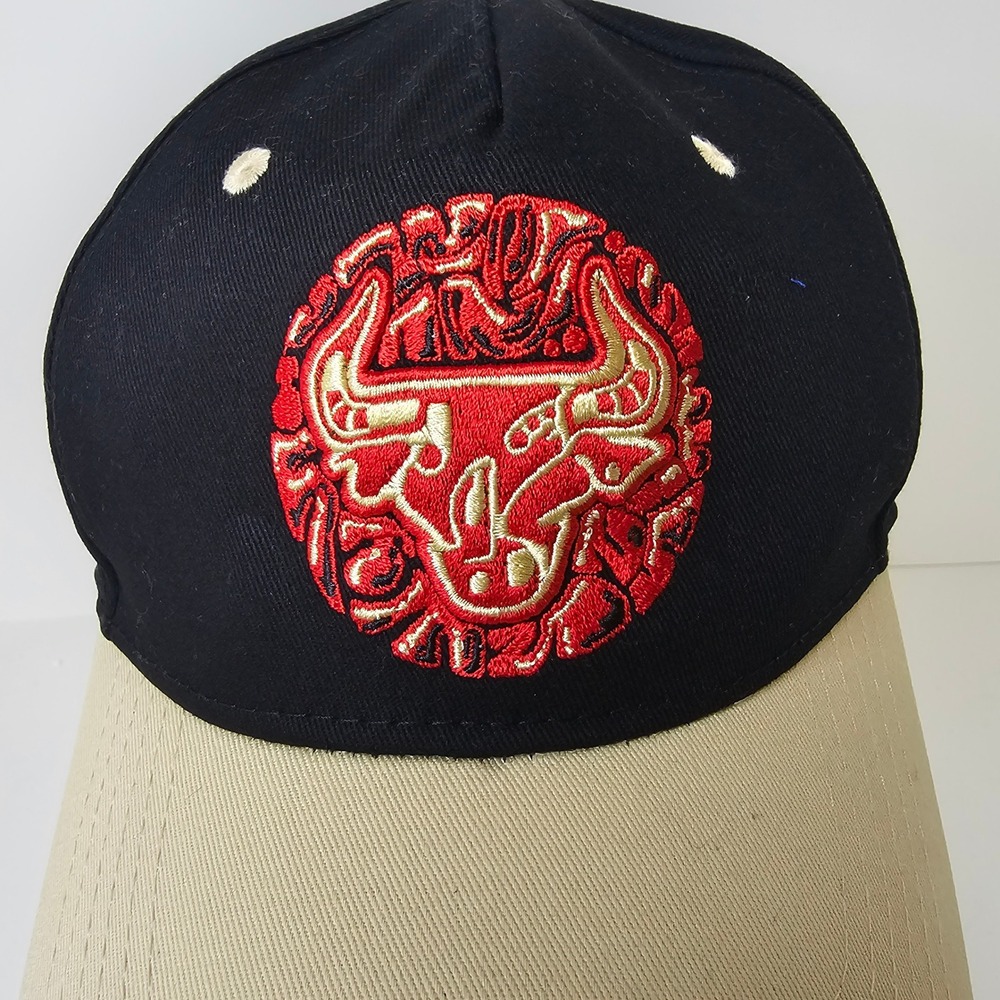 Chicago Bulls Artist Hat Series Snapback Walker TKL Melonwear Black Tan Cap